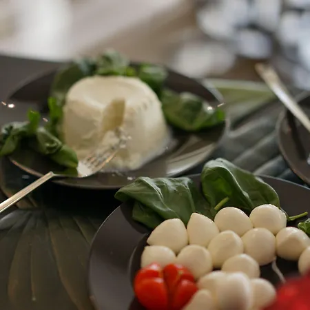 Aplo - Breakfast Experience 체르비아