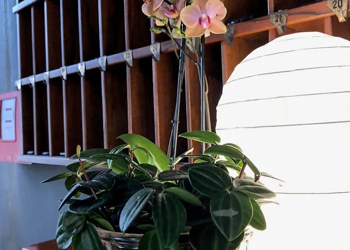 Hotel Aplo - Breakfast Experience Cervia