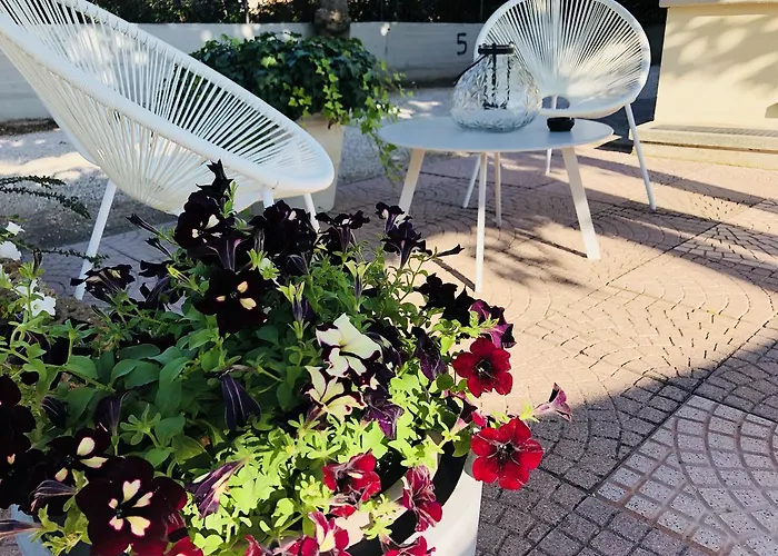 Aplo - Breakfast Experience 체르비아