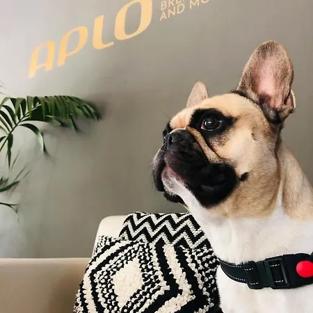 Hotel Aplo 3*