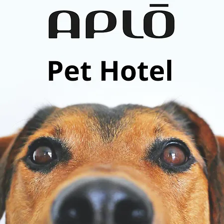 Aplo Hotel Cervia