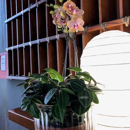 Hotel Aplo - Breakfast Experience Cervia