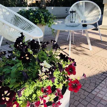 Aplo - Breakfast Experience 切尔维亚