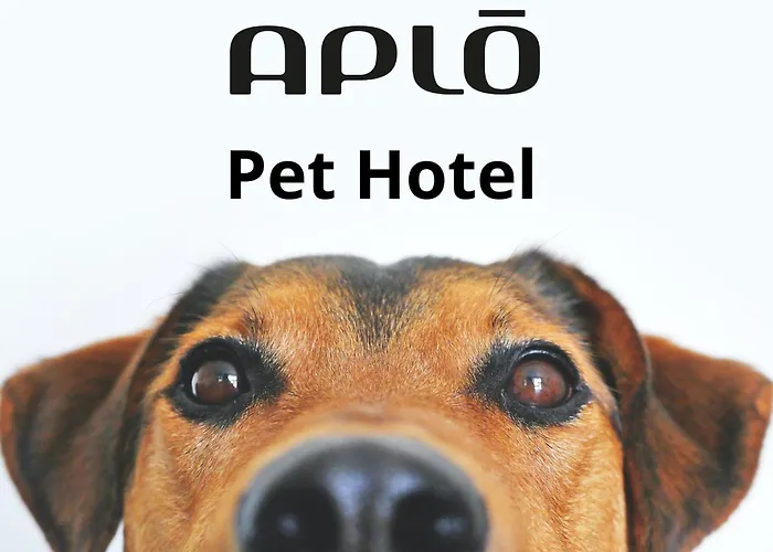 Aplo - Breakfast Experience فندق تّشيرفييا